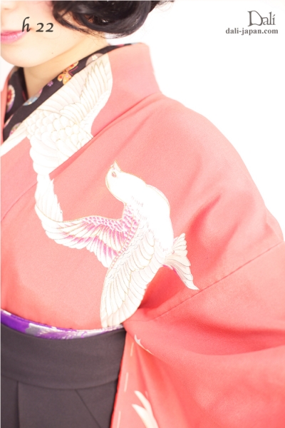 赤い鶴が舞うアンティークお着物の袴スタイル